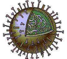 virus5