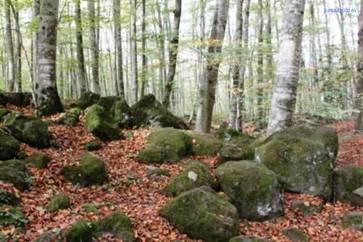 La fageda'17 (4).JPG