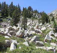 Benasque valle ests.JPG