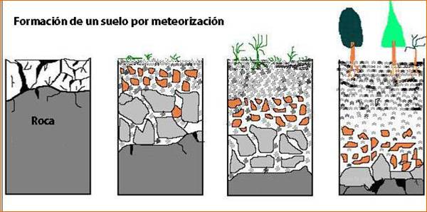 suelo.jpg