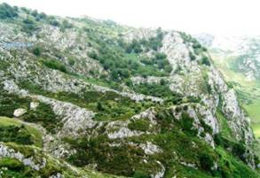 Picos europa karstic.JPG