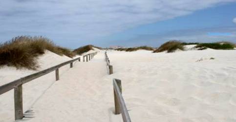 Aveiro dunas.jpg