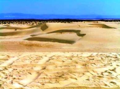 desierto Dunas tunez (3).JPG