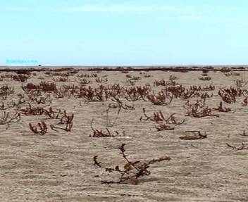Canet de mar (2).JPG