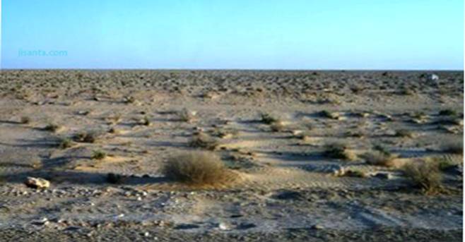 desierto Dunas tunez (9).JPG