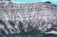 la almolda carcavas lutitas.JPG