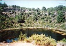 torcas cuenca.jpg
