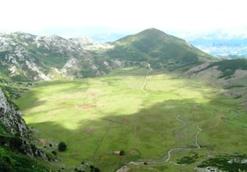 Picos europa_Polje.JPG
