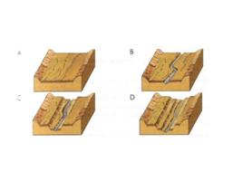 http://image.slidesharecdn.com/formacindeterrazasfluviales-101006090151-phpapp01/95/formacin-de-terrazas-fluviales-4-728.jpg?cb=1286373779