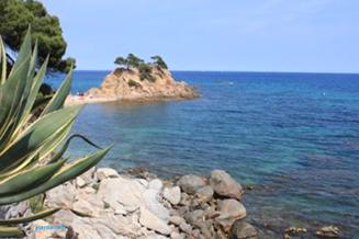 CAP ROIG.JPG